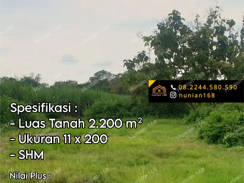 Gudang Tanah Pabrik Industri Jalan Raya Provinsi Kedamean Gresik Cangkir Driyorejo Propinsi Karangandong Wringin Anom Legundi Business Park Bizpark Sumo Estate Surabaya