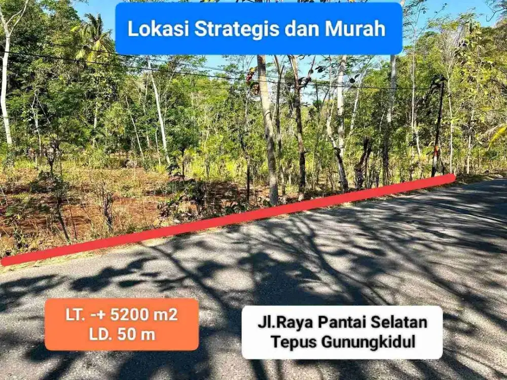 Jual Tanah murah pinggir jalan raya di Tepus Gunungkidul arah pantai selatan