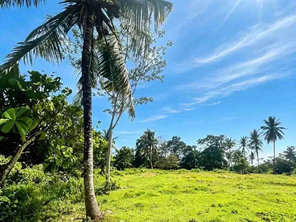 Tanah 1.12 Hektar revie view, Selemadeng - Tabanan