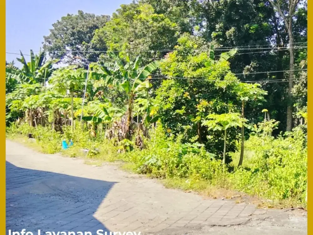 Tanah 500 Meter Dari Kampus UII Kaliurang Yogyakarta