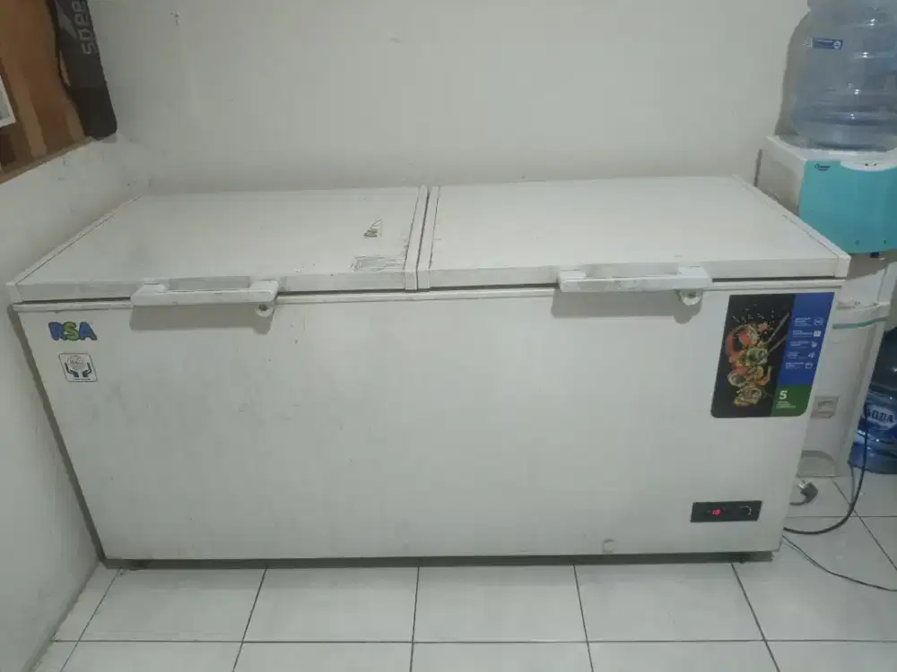 Freezer RSA 600lt