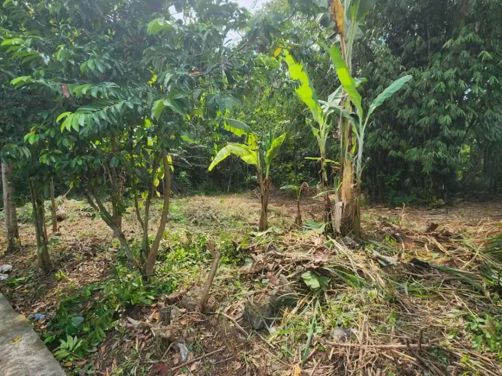 Tanah Pekarangan Murah Dekat SMK N 1 Sewon Bantul#Kode : TP 041