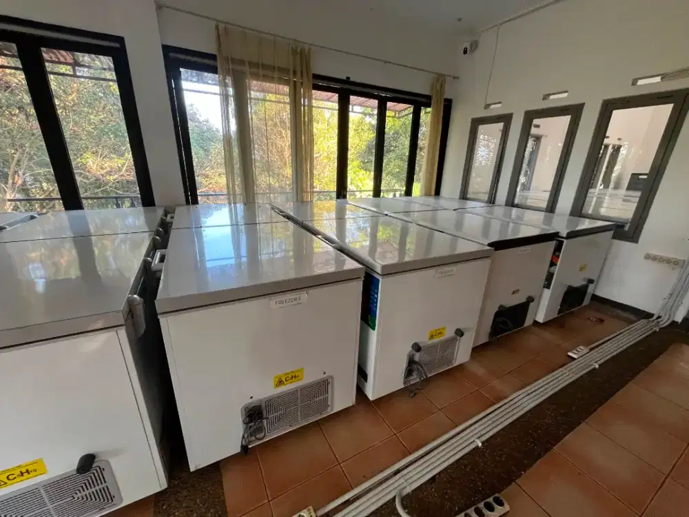 Freezer box RSA Kapasitas 1200 liter