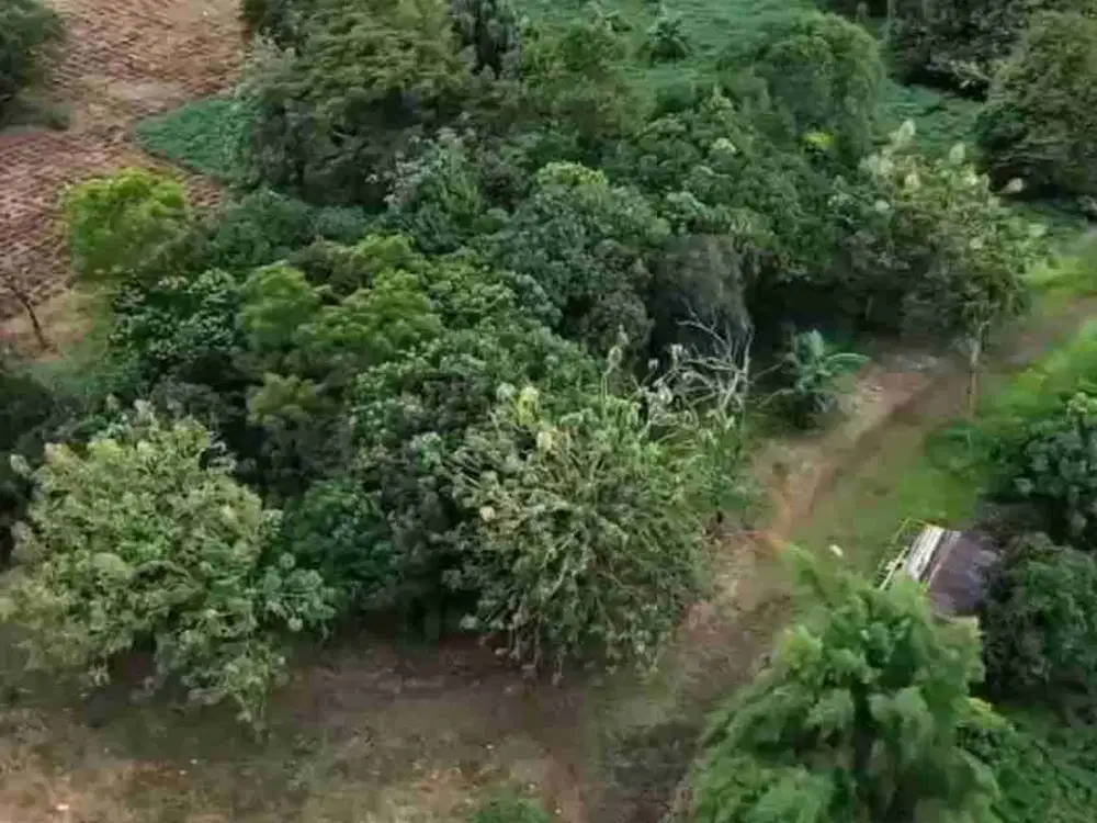 DIJUAL KAVLING TANAH DI PARUNG HIJAU 2, TAJUR HALANG KABUPATEN BOGOR