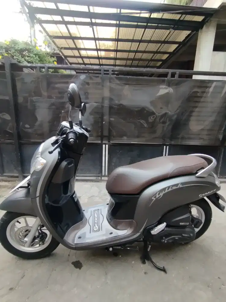 scoopy 2019 stylish