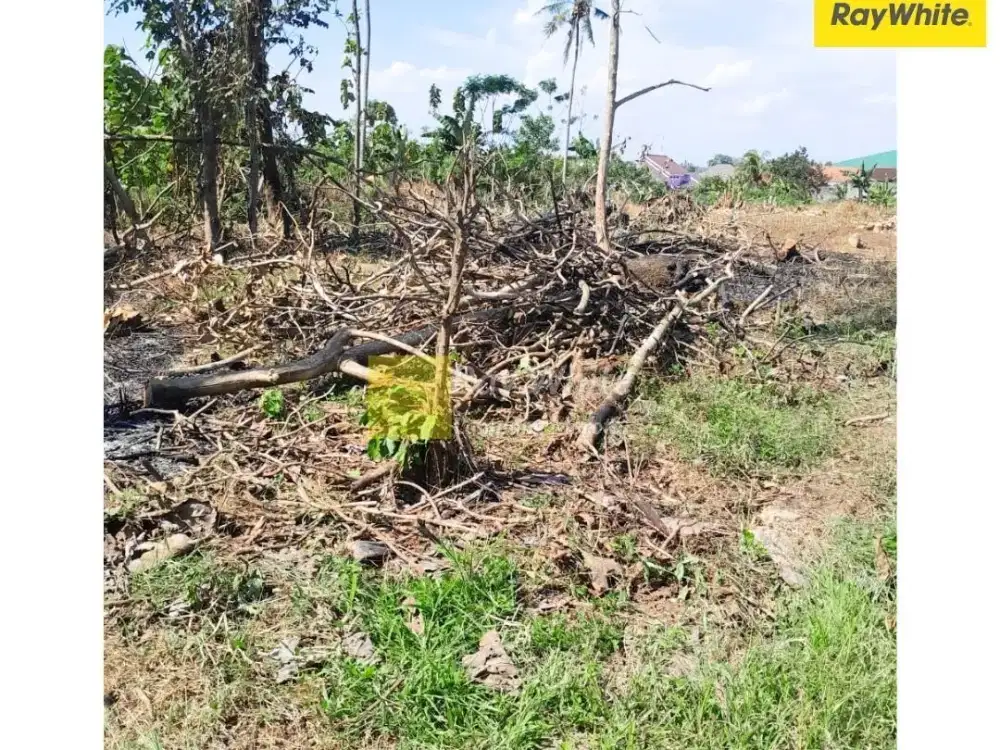 Jual Tanah Natar Hajimena (JxAL)