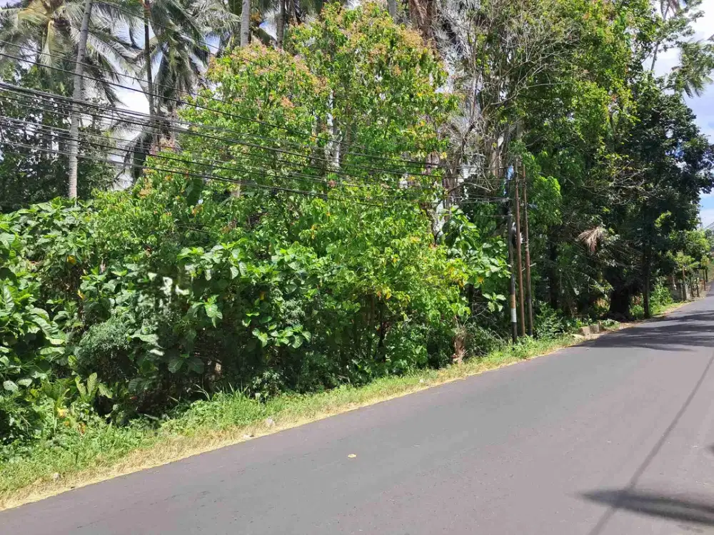 DIJUAL CEPAT TANAH STRATEGIS DAERAH UNSRAT, HARGA SANGAT MURAH