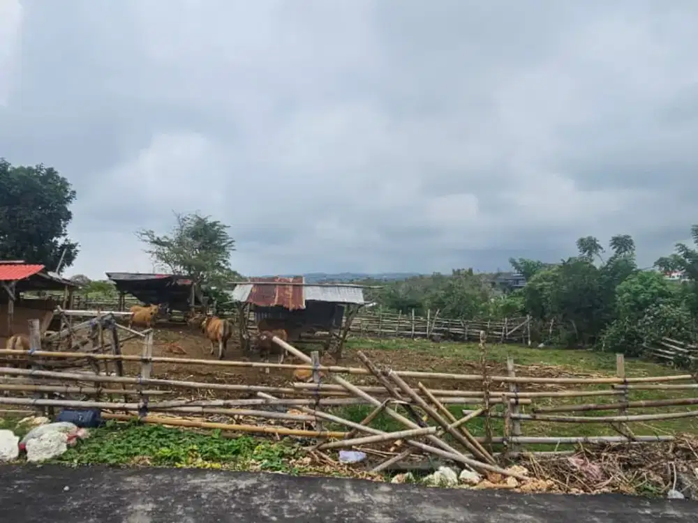 Strategic Land for Sale Near Green Bowl Beach, Prime Tourism Zone in South Bali Perfect for Luxury Villa Development