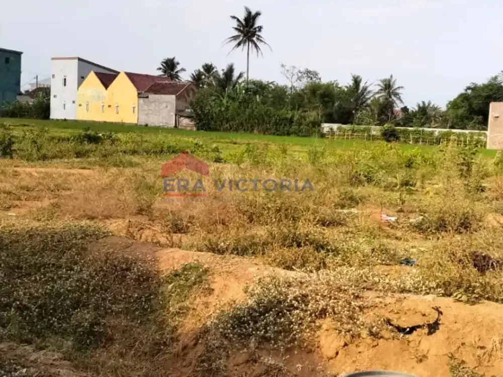 Tanah Komersial Tepi Jalan Raya Pakisaji, Akses Mudah