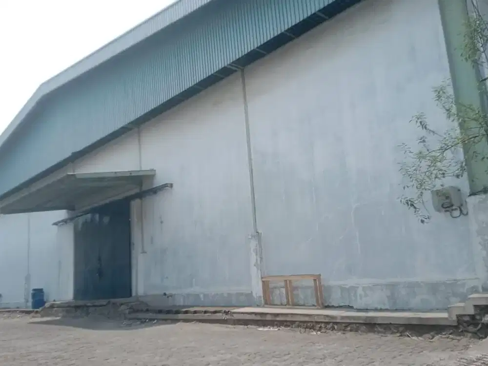 Dijual Gudang Camelia 1 Jl. Kapuk Muara Raya, Penjaringan, Jakarta Utara