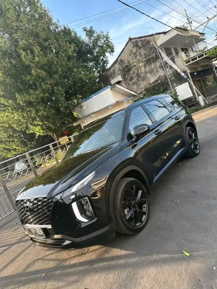 Hyundai palisade 2021