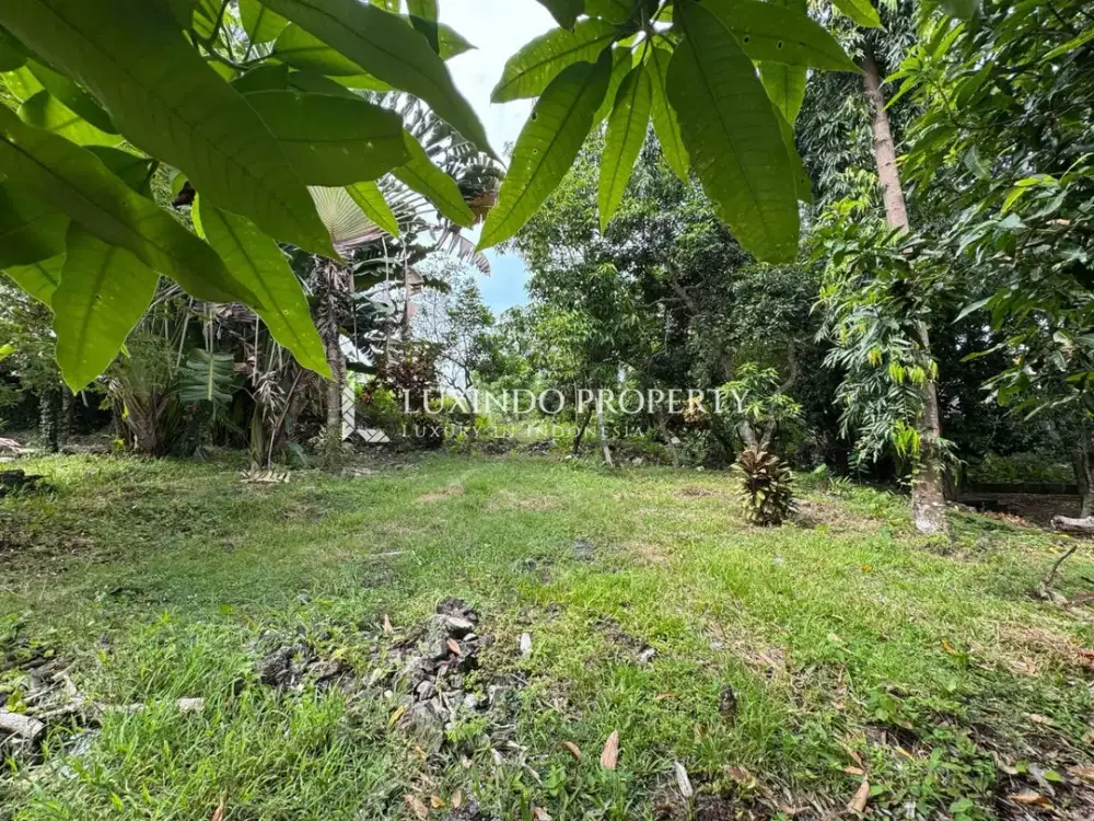 DIJUAL TANAH DENGAN LUAS 18,75 ARE DI PADONAN