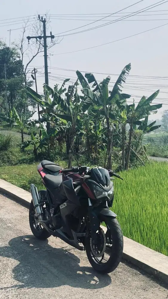 Kawasaki Z250fi Rare Color Thn 2016