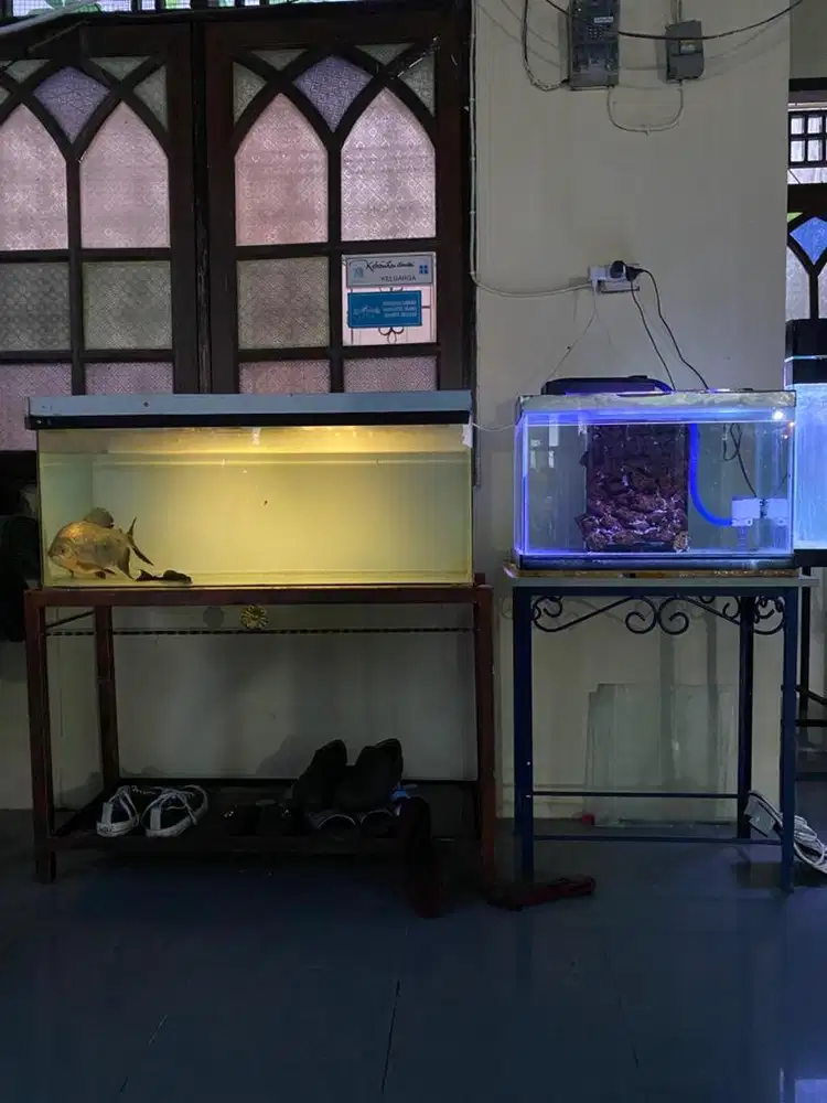 Aquarium bekas 100x40x40 / 60x30x30