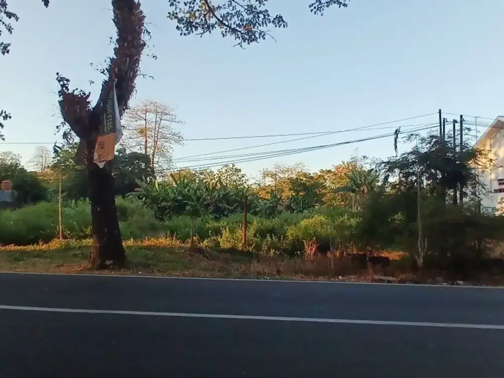 Dijual Tanah Kosong di Jalan Batara Bira