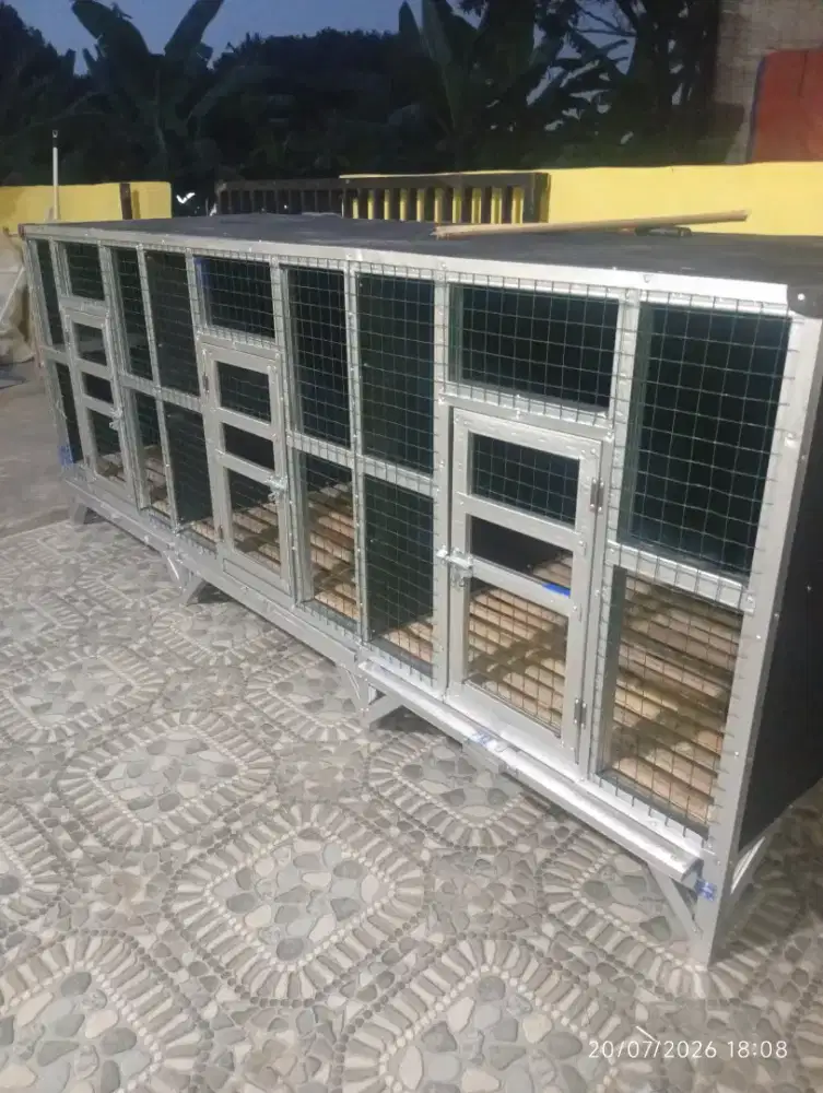 kandang ayam bangkok dll