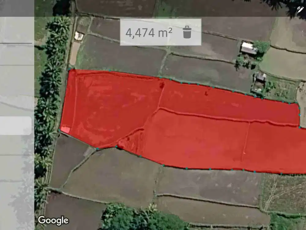 Dijual Murah Tanpa Perantara, Langsung dengan Pemilik, Tanah Sawah di Pejeng Kangin, Tampaksiring, Gianyar Bali - Thumbnail 8