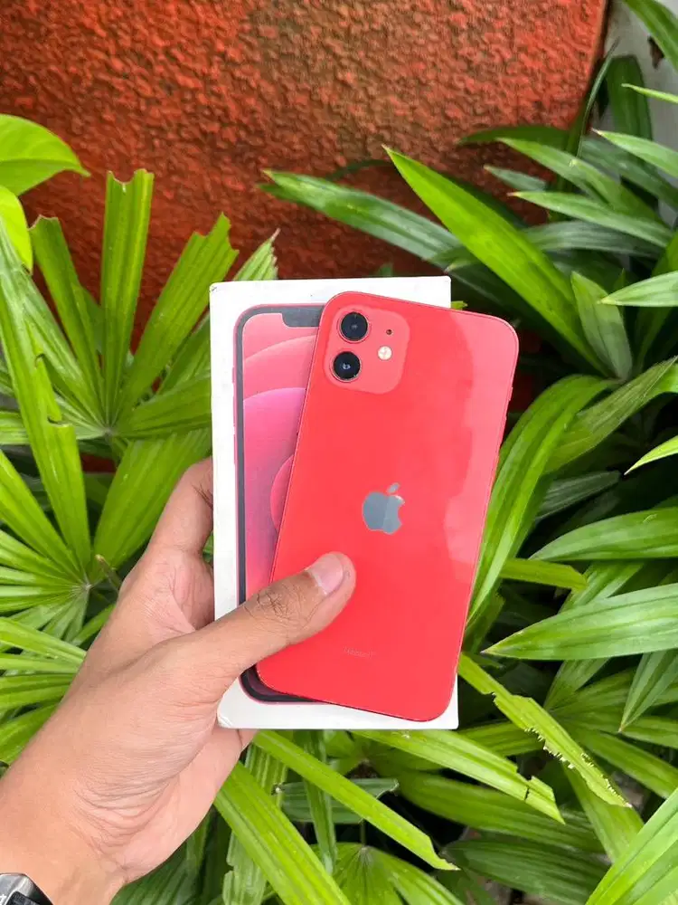 ip 12 128gb allop