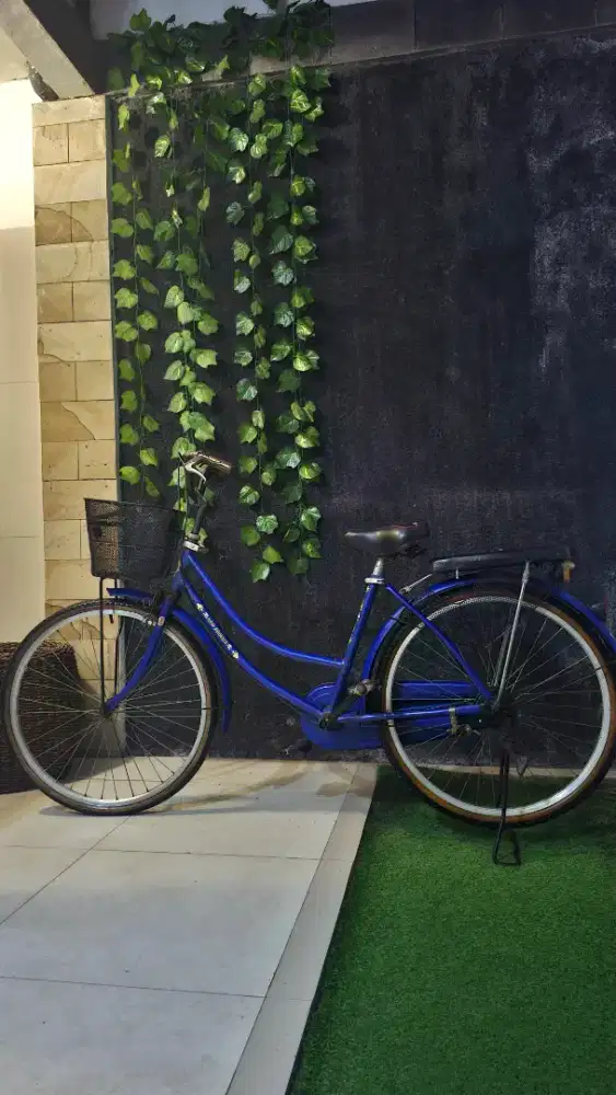 Sepeda New phonix