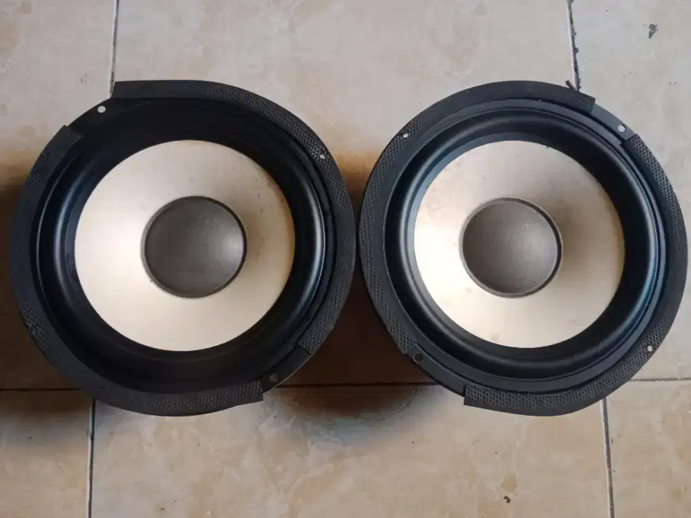 Woofer POLYTRON 8 inch magnet gede
