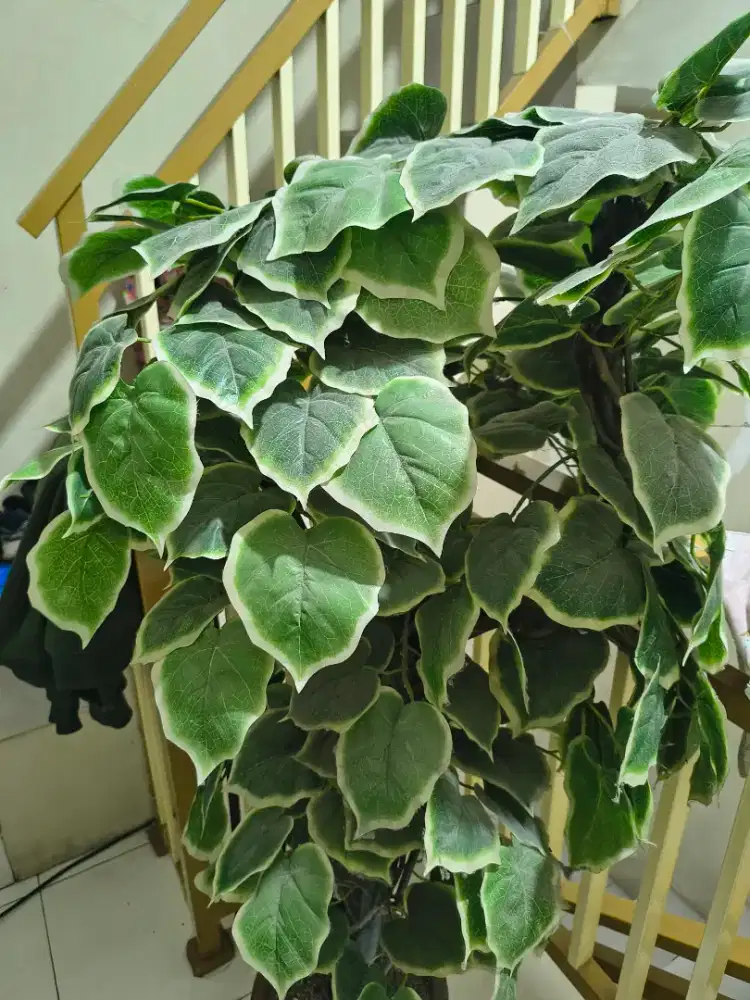 BUNGA ARTIFICIAL HIASAN RUMAH