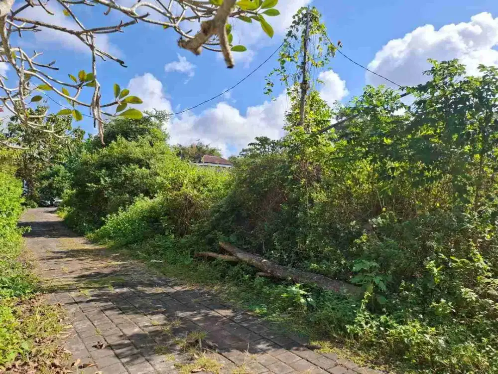 TANAH FOR SALE UNTUK VILLA ATAU INVESTASI  Kutuh - Bali.