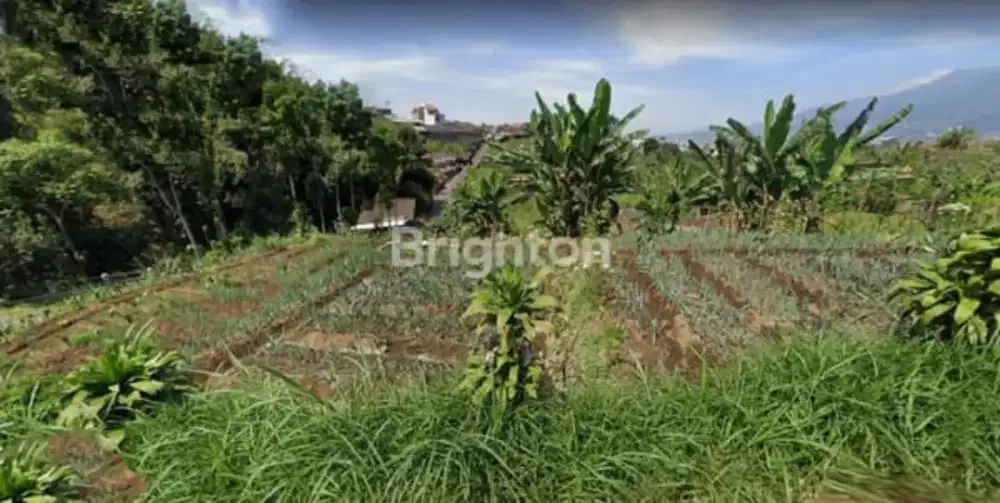 DIJUAL TANAH DI BATU MALANG DEKAT SELECTA & MIKOTOPIA