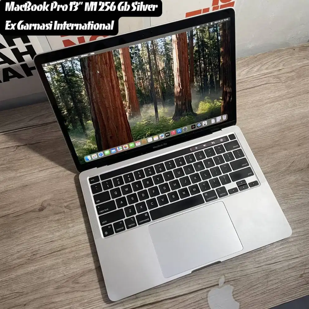 MacBook Pro 13 2020 M1 Chip 256 Gb Silver