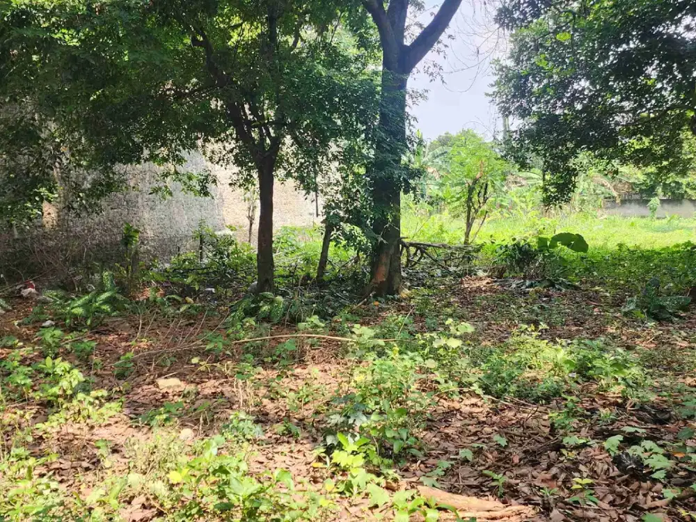 Tanah 3841m jln raya mustikajaya kota bekasi