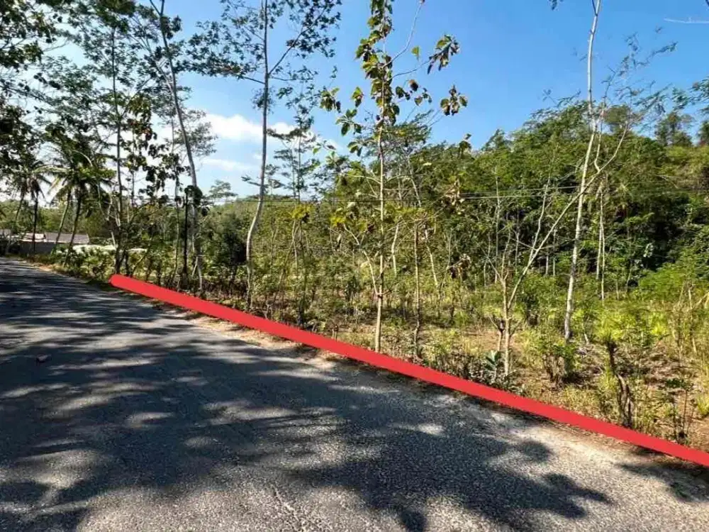 Jual Tanah Pinggir Jalan raya arah Pantai Selatan Di Tepus Gunungkidul Subur dan Strategis Murah