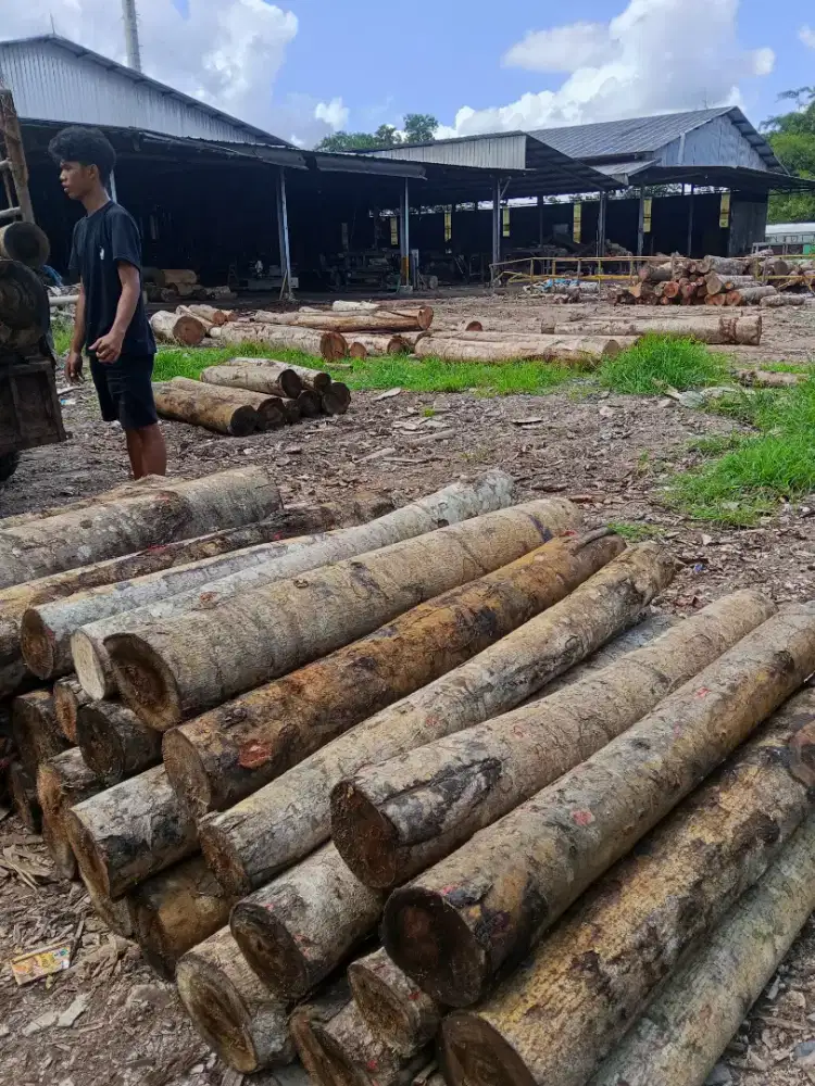 Dicari sopir tangguh siap bekerja keras