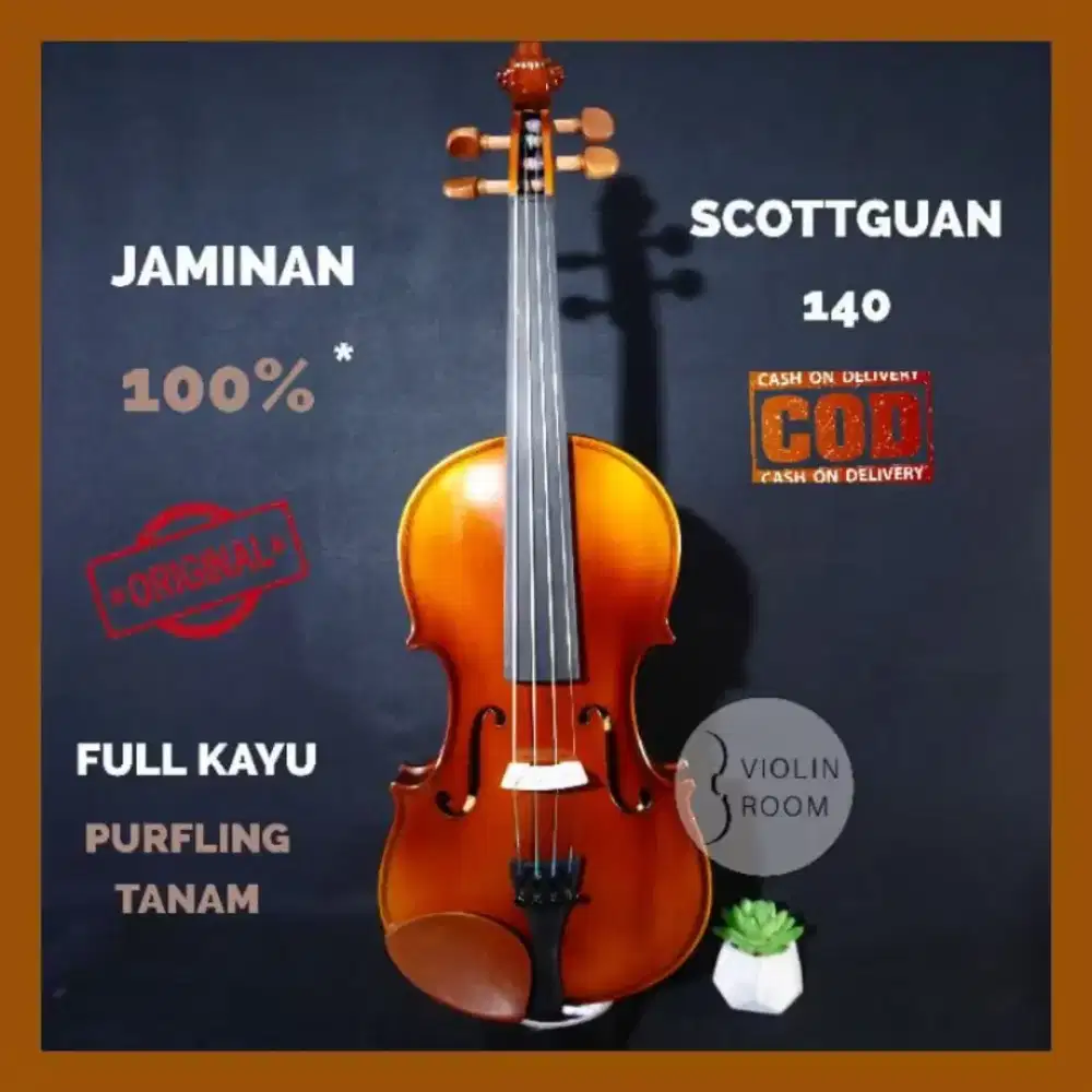 Violin Scottguan 140