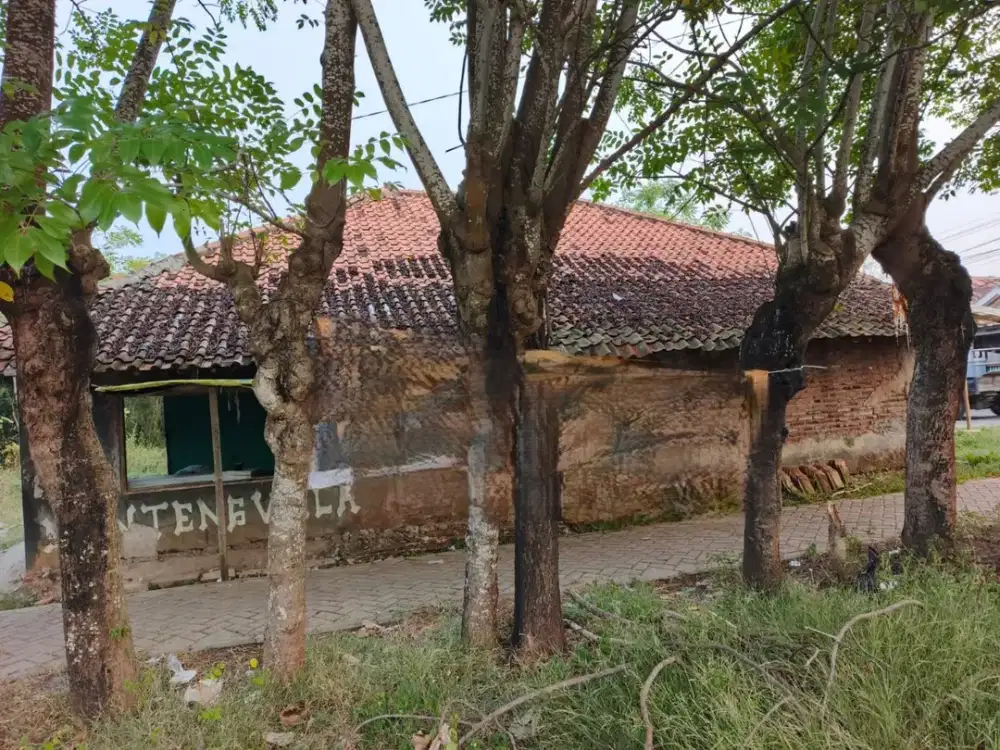 Dijual Tanah di Tanjakan Mekar Rajeg