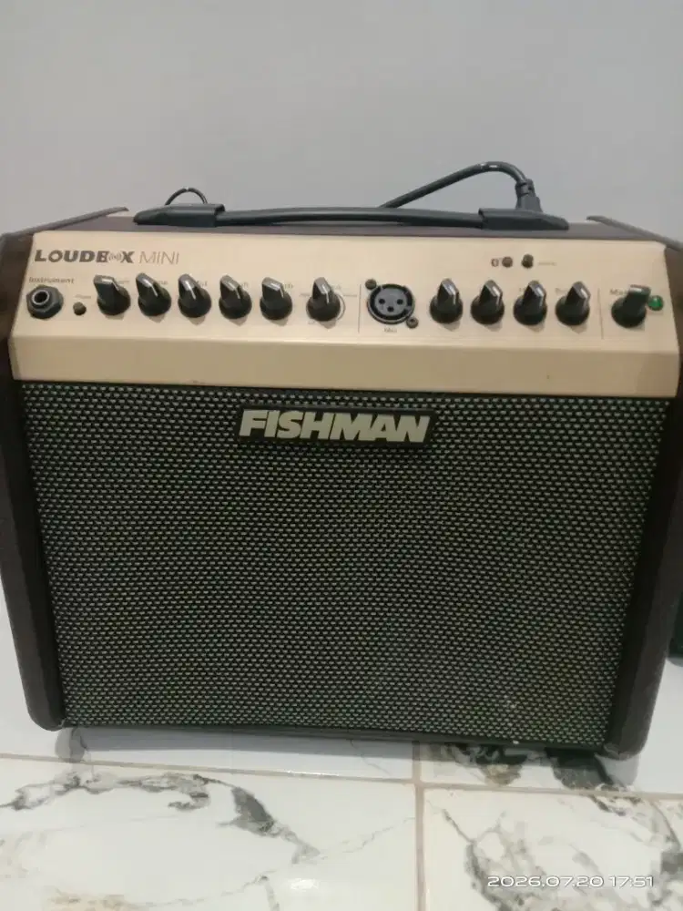 Amplifier fishman loudbox mini