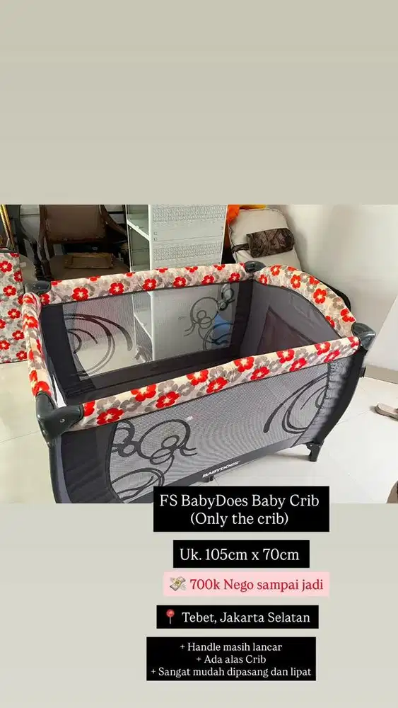 FS BABYDOES Baby Box