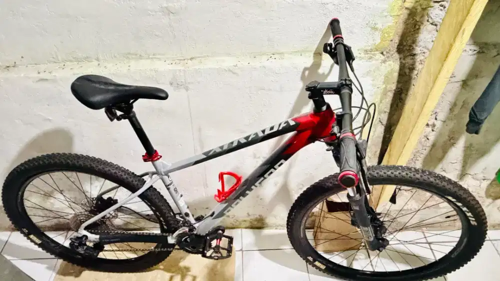 MTB Polygon Xtrada 5
