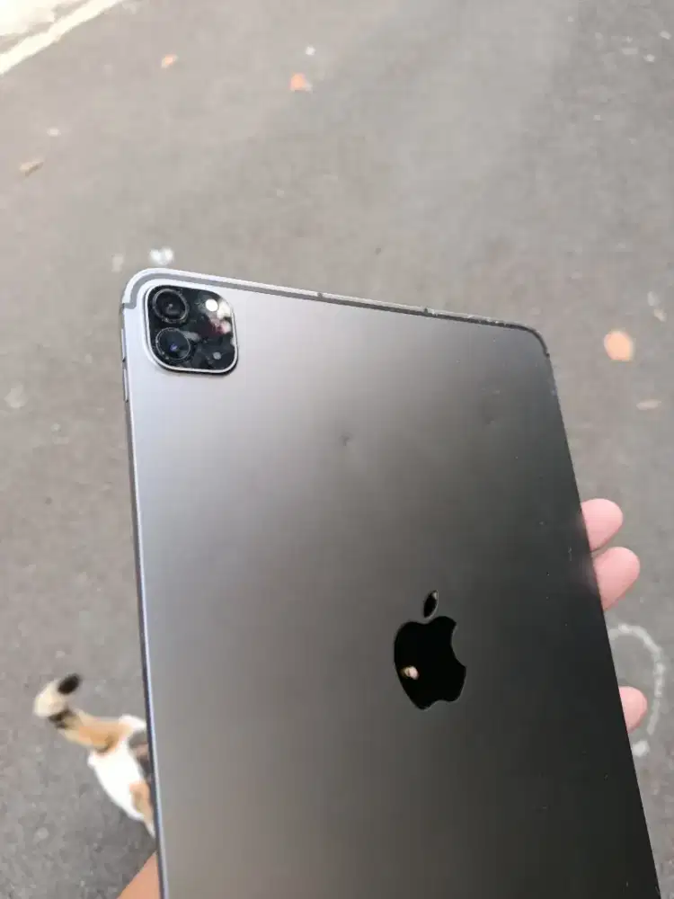 Apple iPad Pro cellular