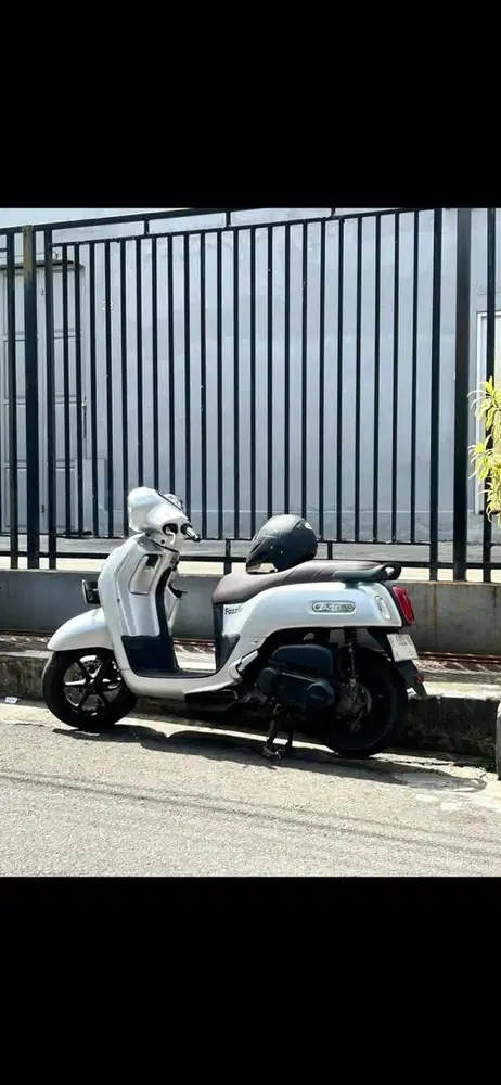 Fazzio 2022 matic