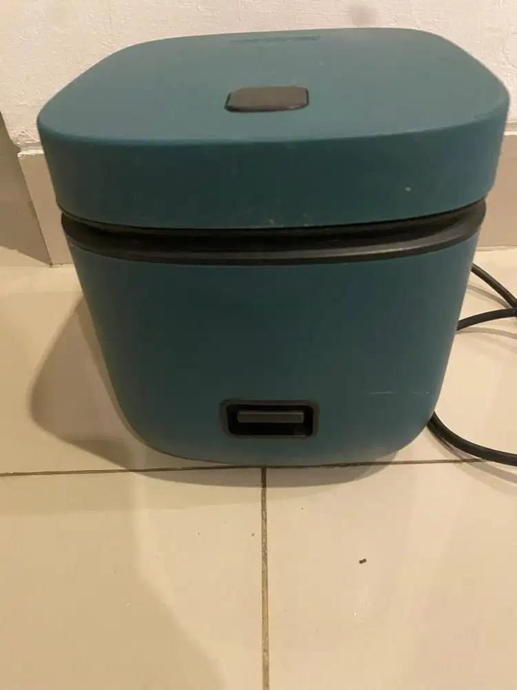 WTS Han river rice cooker mini 0.8L