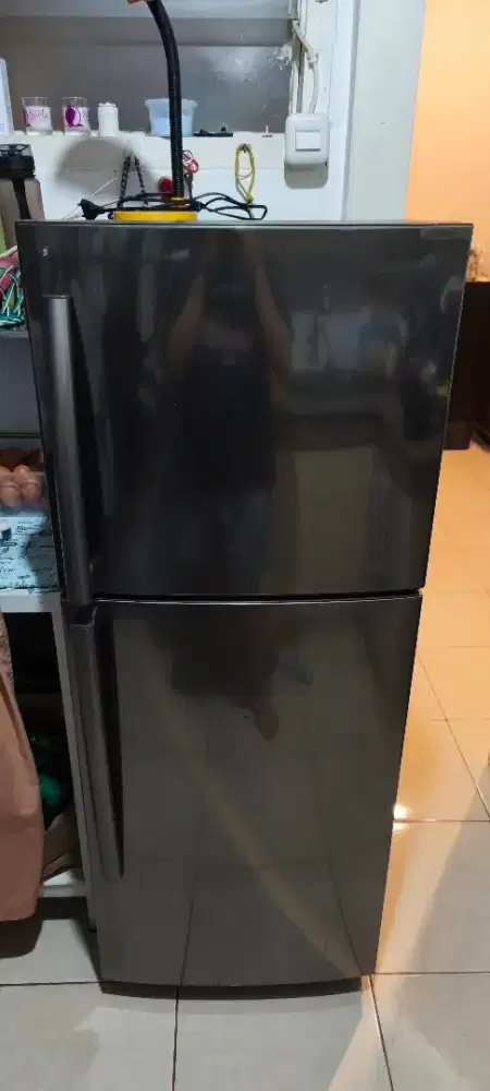 Kulkas Samsung 2 Pintu 225L