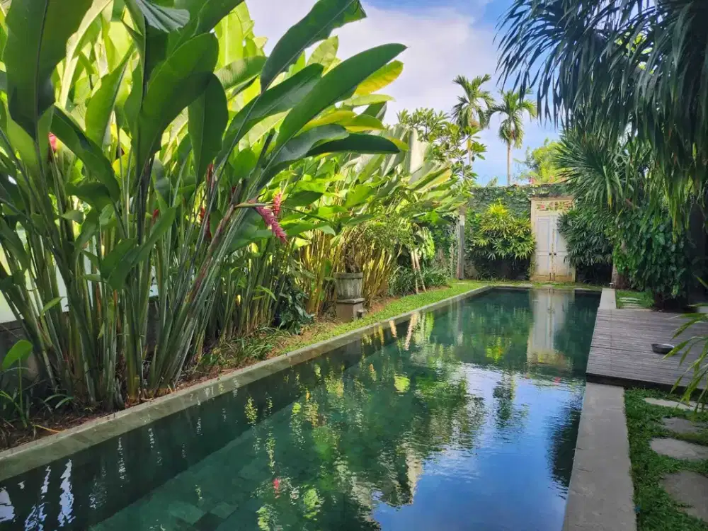 Dijual Rumah ditengah Kota Renon View Sawah