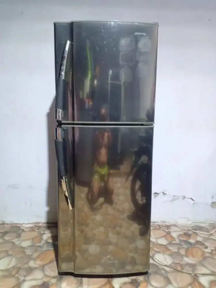 kulkas Sharp 2 pintu normal