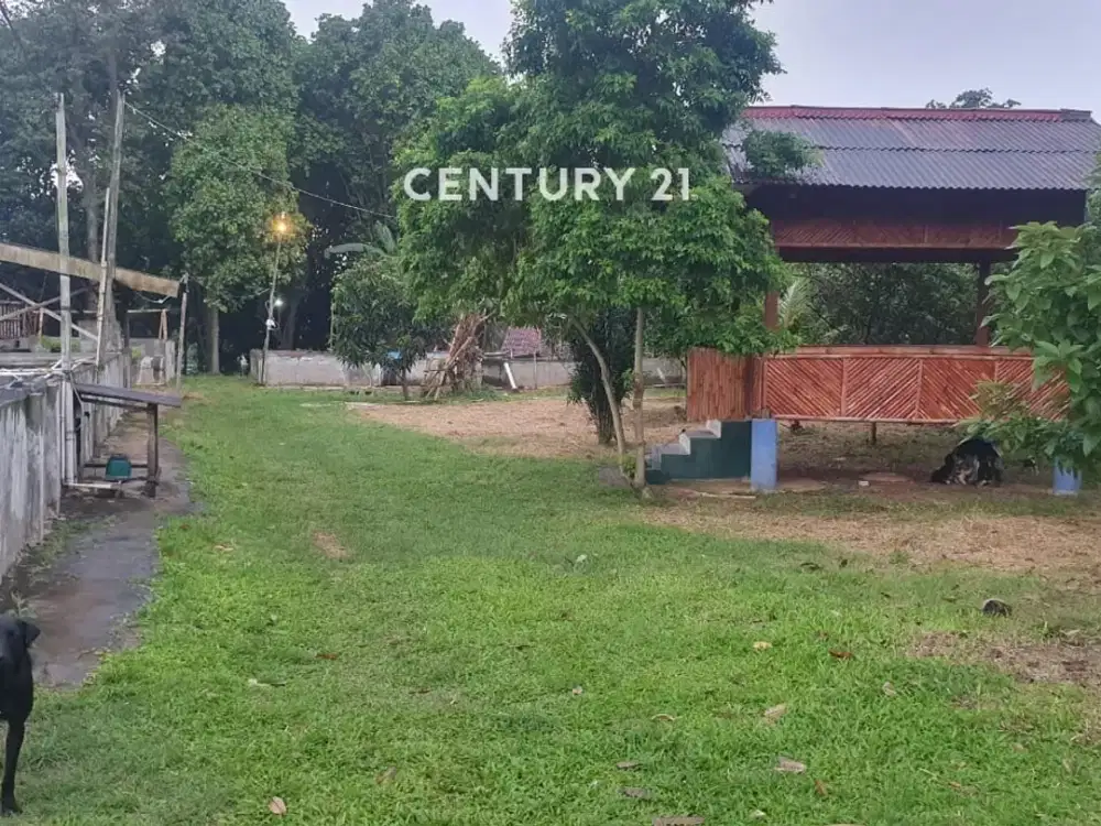 Kavling Strategis Cocok Untuk Usaha Di  Bogor Wt 18661