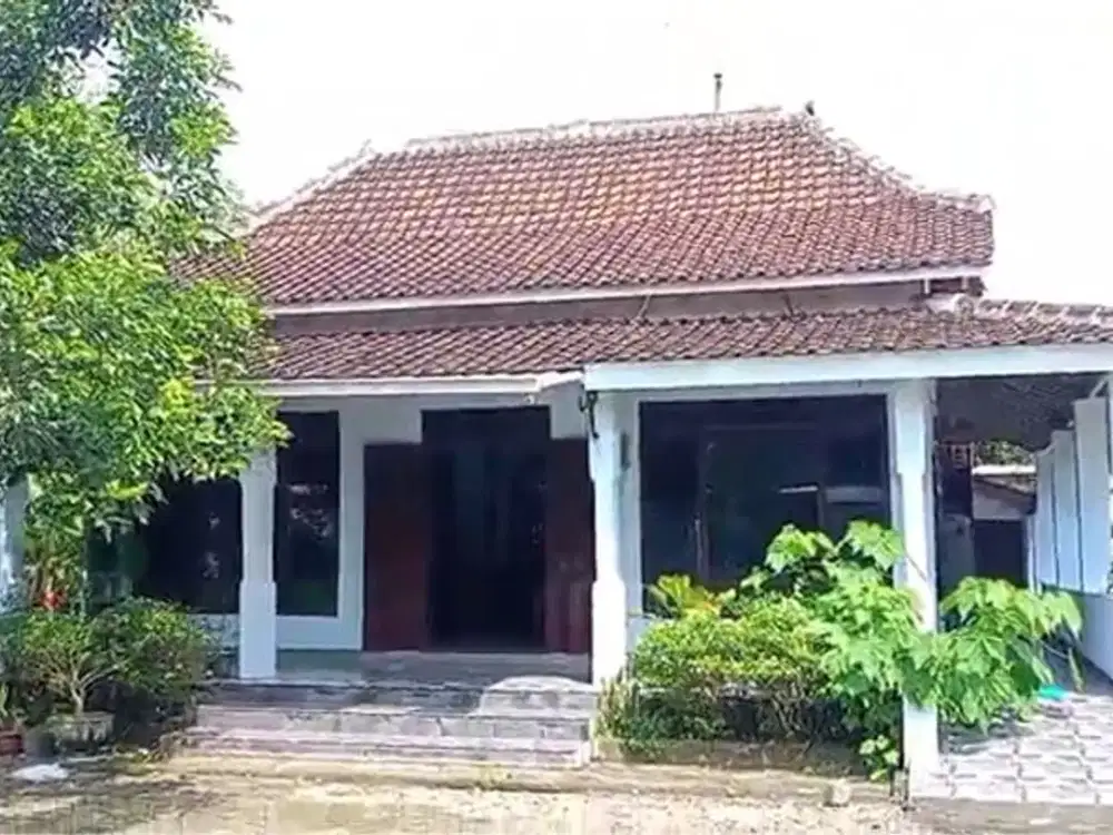 Di Jual Tanah Dan Bangunan Rumah Joglo Clasic dan Tanah Pekarangannya  di Blitar