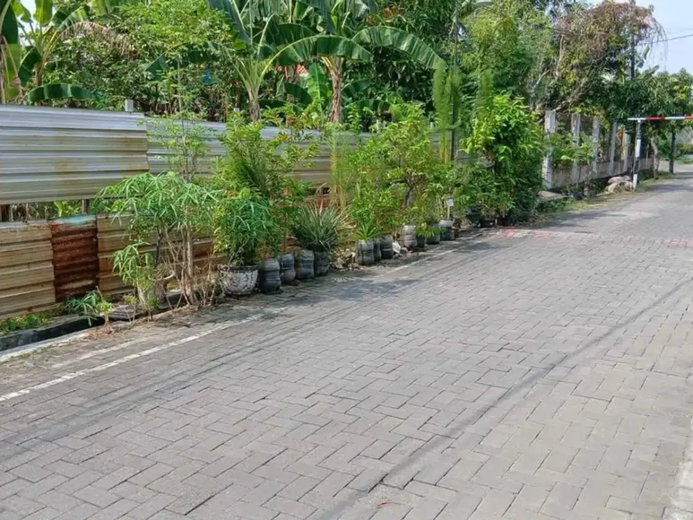 Tanah Kosong di Jl Singa Timur, Kalicari Pedurungan