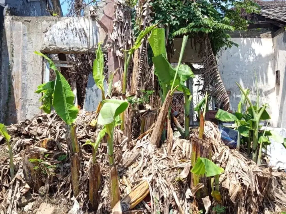 Dijual Tanah/Rumah Bahan Luas 60 Harga Bagus di Bukit Palem, Citra Indah City