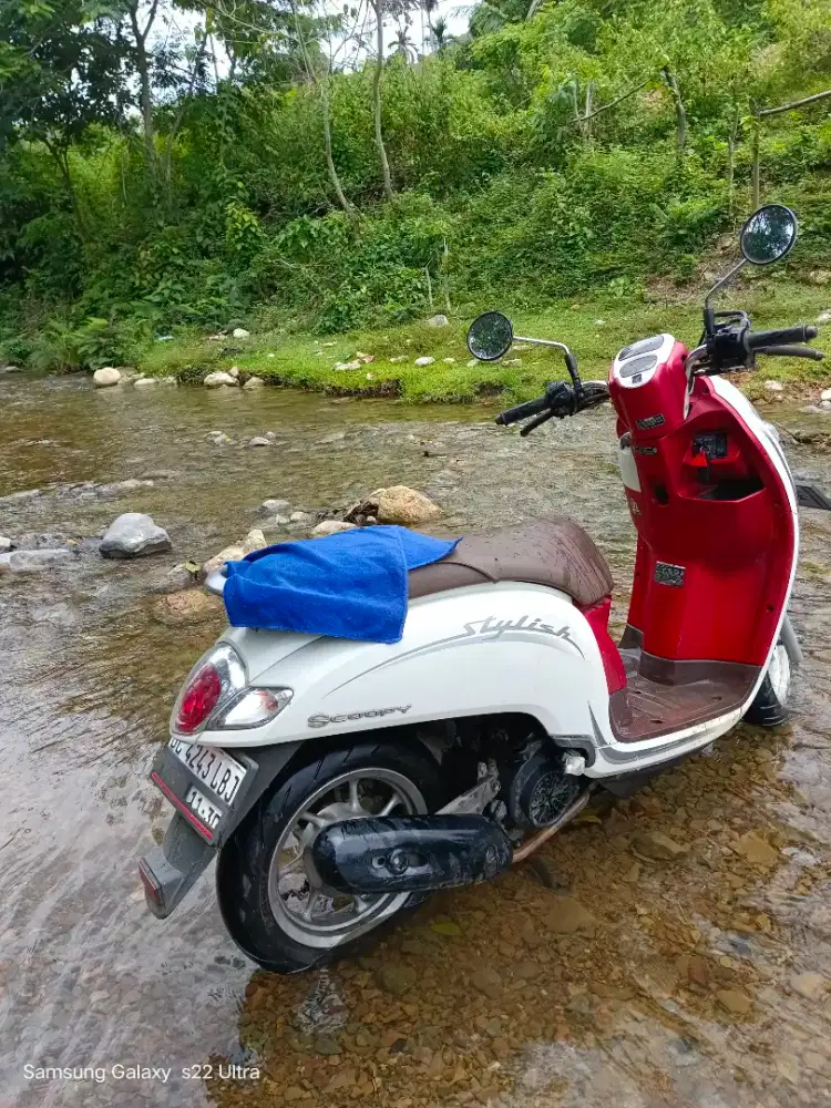 Honda scoopy 2020
