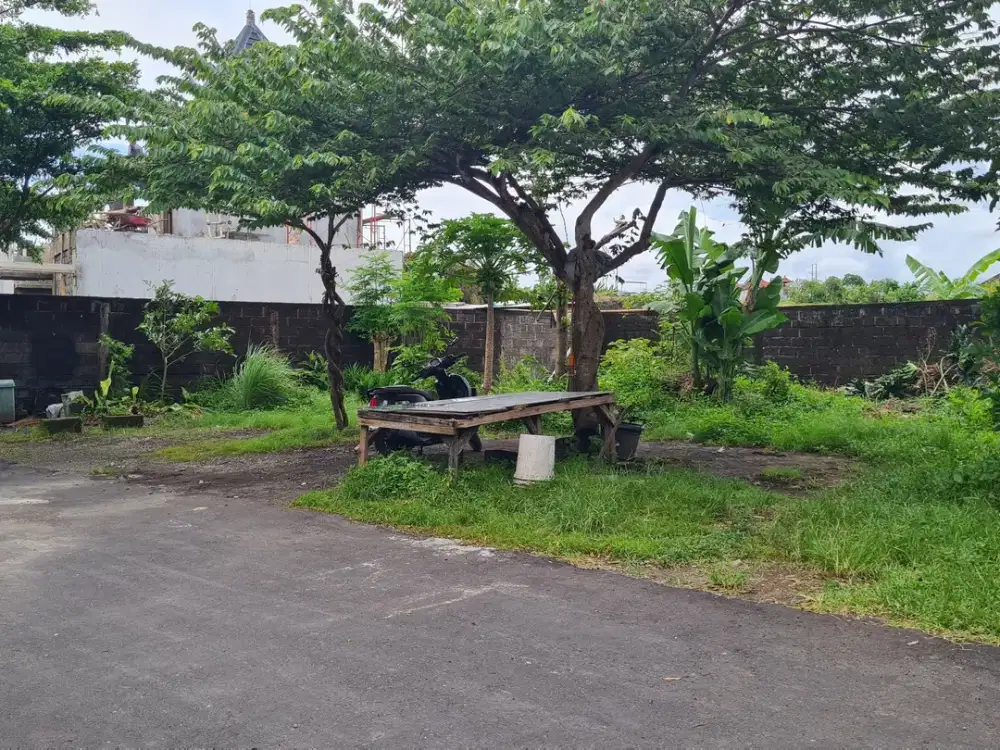 Dijual Tanah Bagus area Pantai Padanggalak Sanur