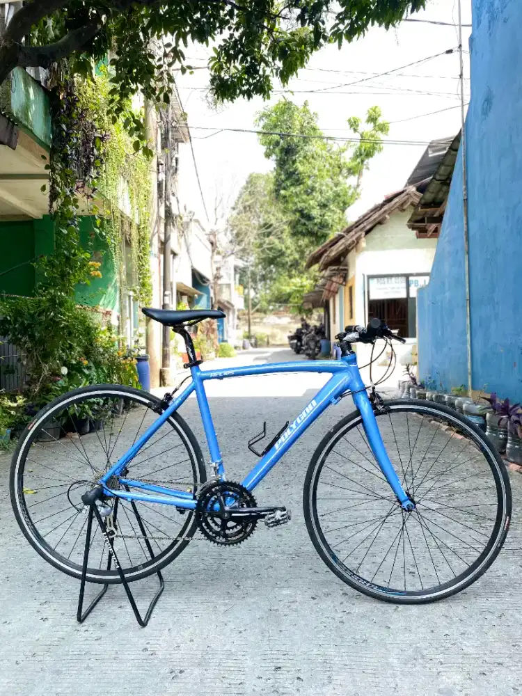 Sepeda polygon helios f100