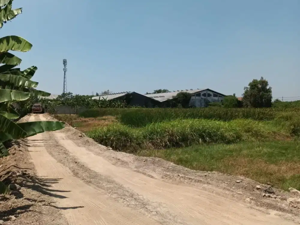 Tanah Raya Kepatihan